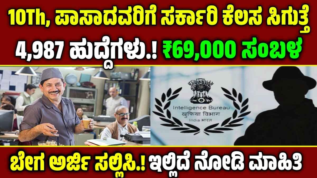 IB Recruitment 2025