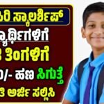 vidyasiri scholarship 2025-26 karnataka
