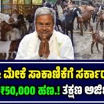 Sheep Loan Scheme