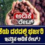 ಅಡಿಕೆ ಧಾರಣೆ