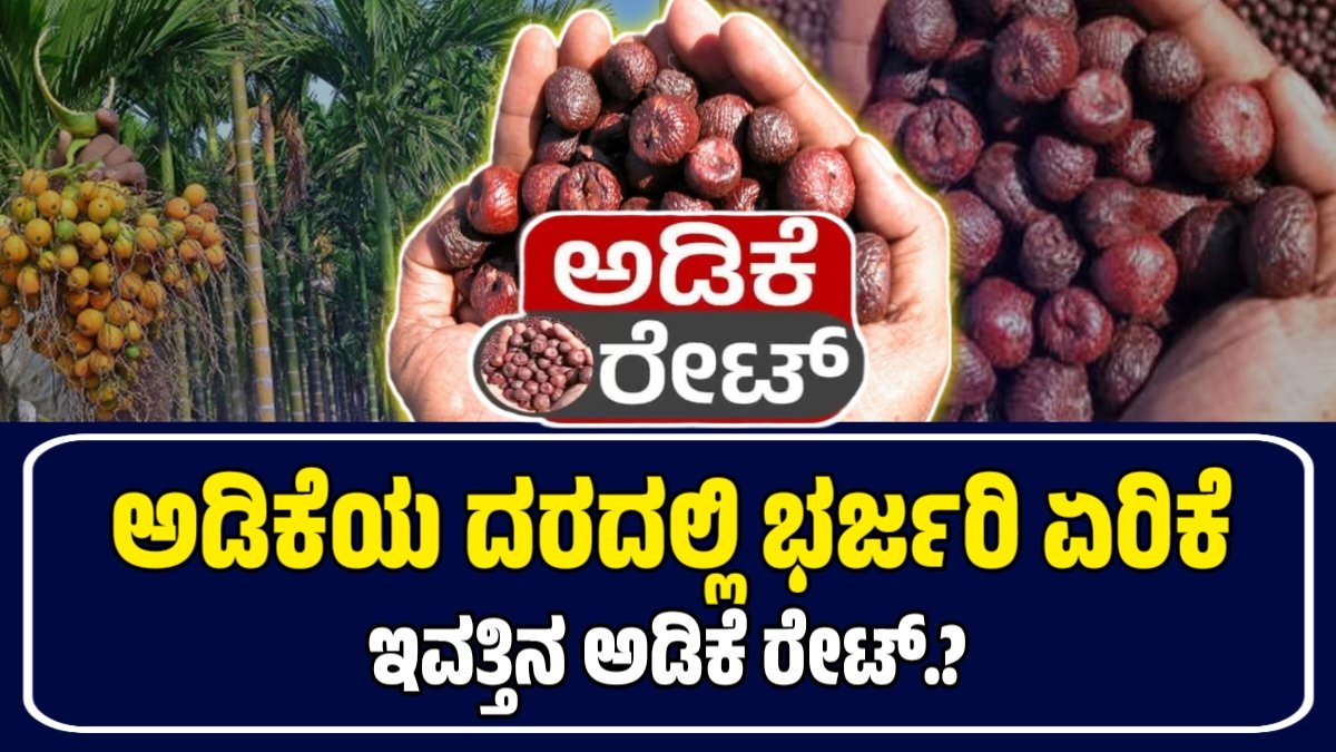 Today Adike Rate