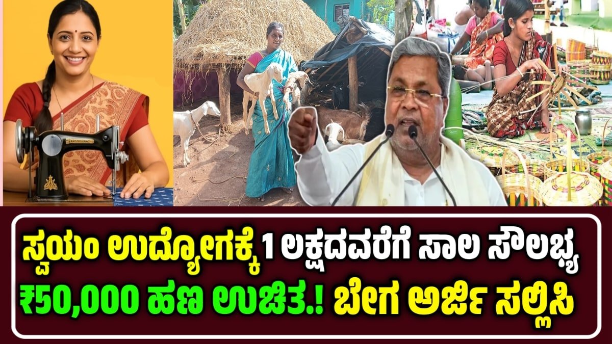 Self Employment Loan Scheme