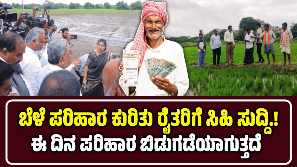 ಮಳೆಯಿಂದ ಬೆಳೆ ಹಾನಿ