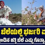 Today karnataka cotton price